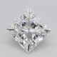 1.00 Karat Princess Laboratoryjne